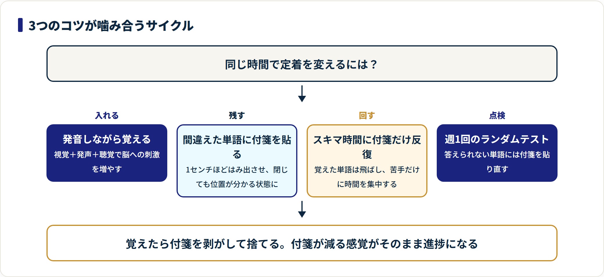 英単語暗記の3つのコツが入れる・残す・回す・点検のサイクルでつながることを示した図