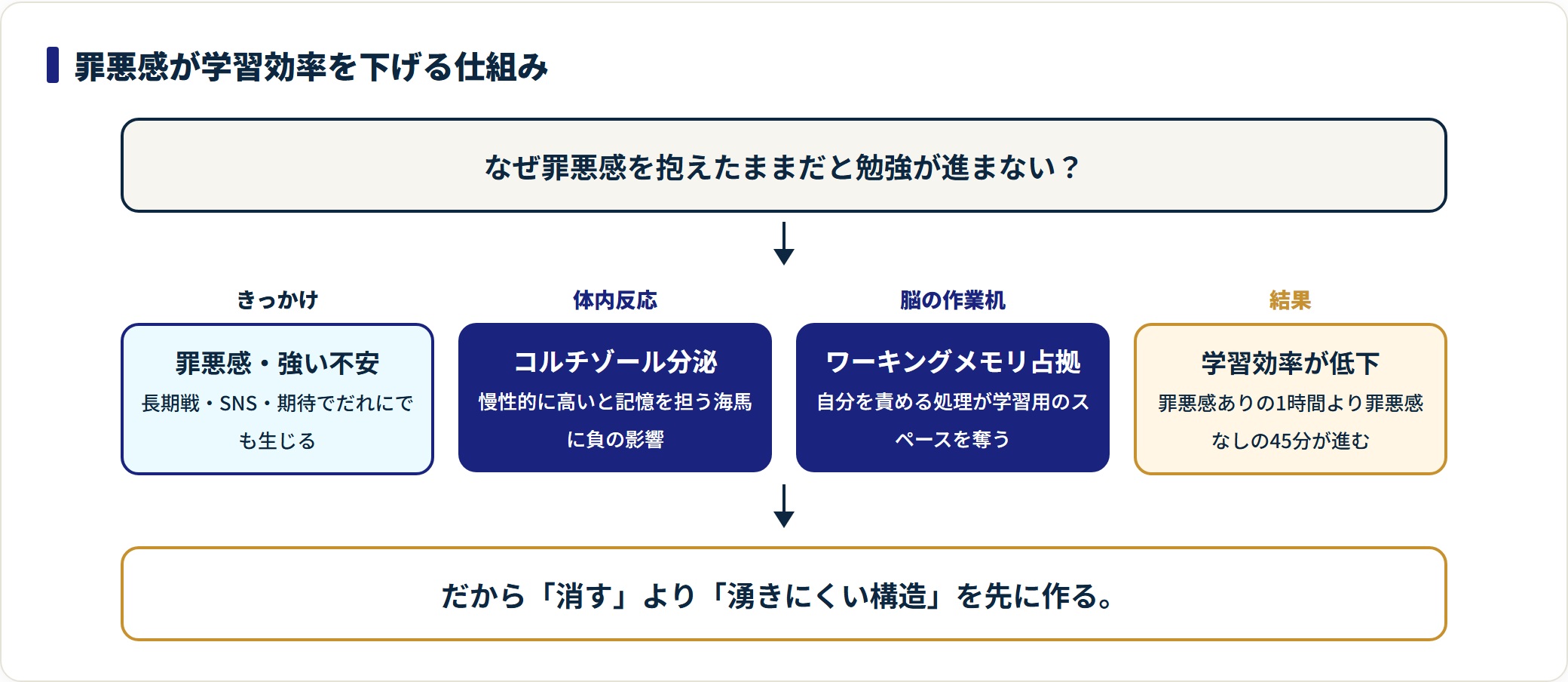 罪悪感からコルチゾール分泌、ワーキングメモリ占拠を経て学習効率低下に至る仕組みの流れ図。
