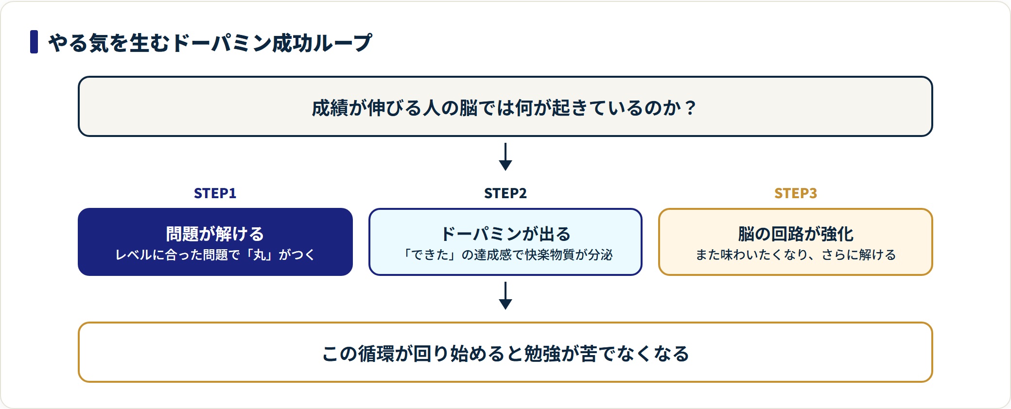 問題が解ける、ドーパミンが出る、脳の回路が強化されるという成功体験ループの循環を示した図。