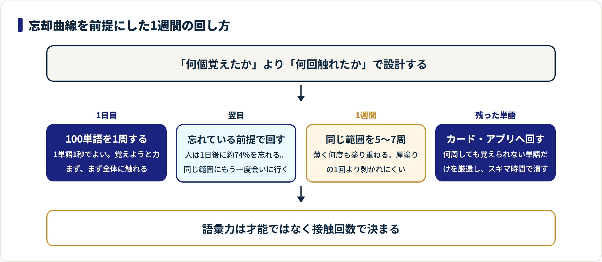 英単語100単語を1日1周し1週間で5〜7周回す、忘却曲線を前提にした運用手順の図。